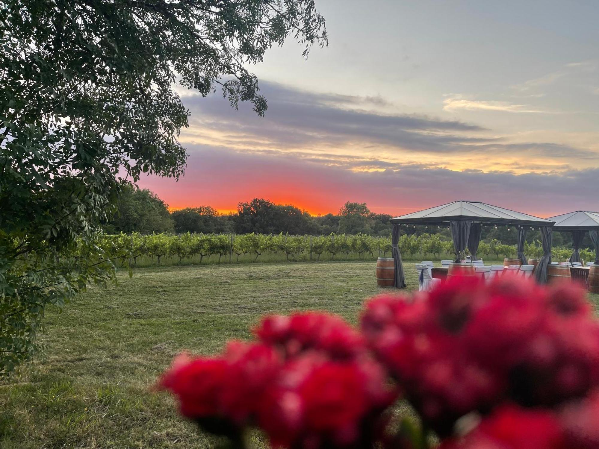 Bordeaux Chateau Lafleur Quinsac Kültér fotó
